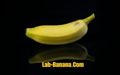 Lab-Banana.com Business