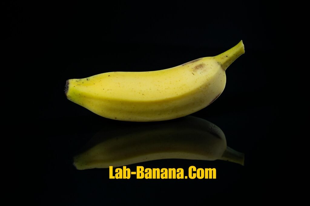 Lab-Banana.com Business