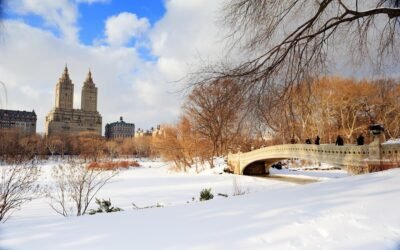 weather syracuse ny