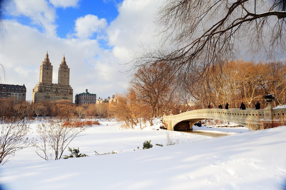 weather syracuse ny